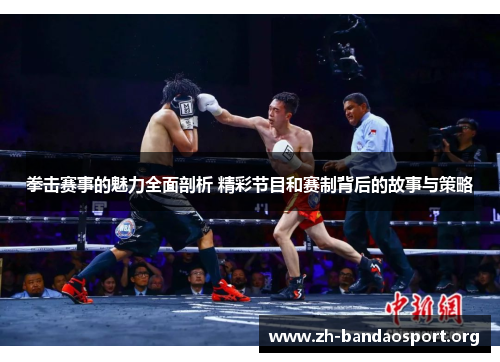 拳击赛事的魅力全面剖析 精彩节目和赛制背后的故事与策略