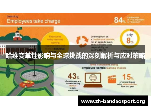 哈维变革性影响与全球挑战的深刻解析与应对策略