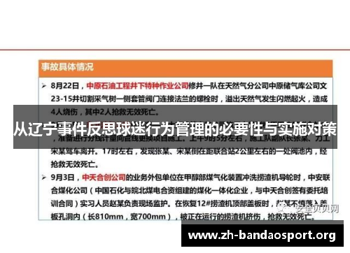 从辽宁事件反思球迷行为管理的必要性与实施对策