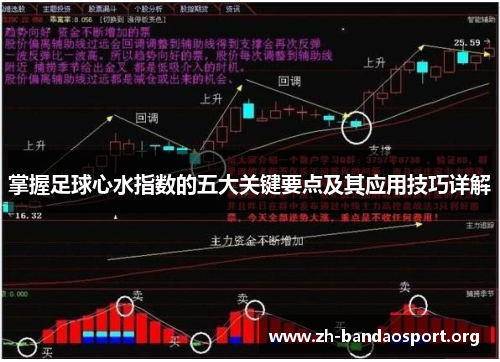 掌握足球心水指数的五大关键要点及其应用技巧详解