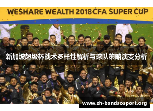 新加坡超级杯战术多样性解析与球队策略演变分析
